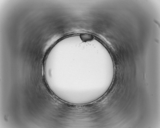 X0000093391269200710251232