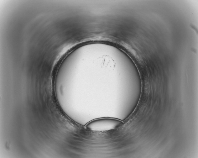 X0000093391270200710251232