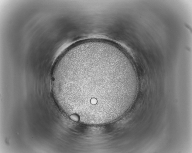 X0000093391271200710251232