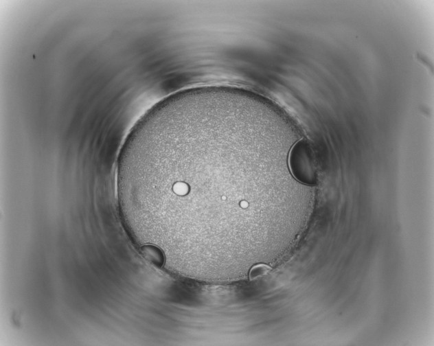 X0000093391275200710251232