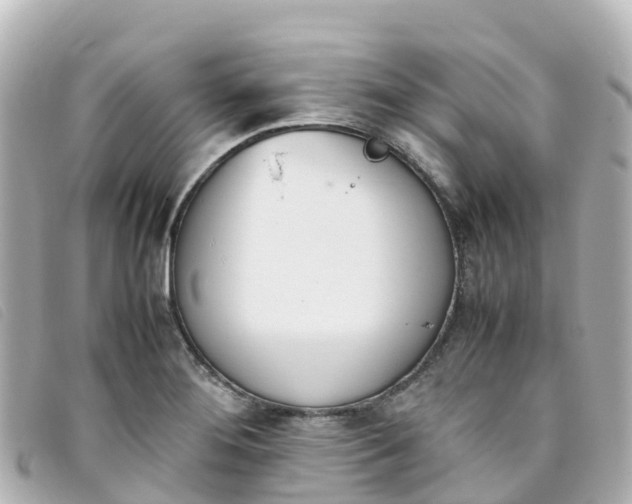 X0000093391276200710251232