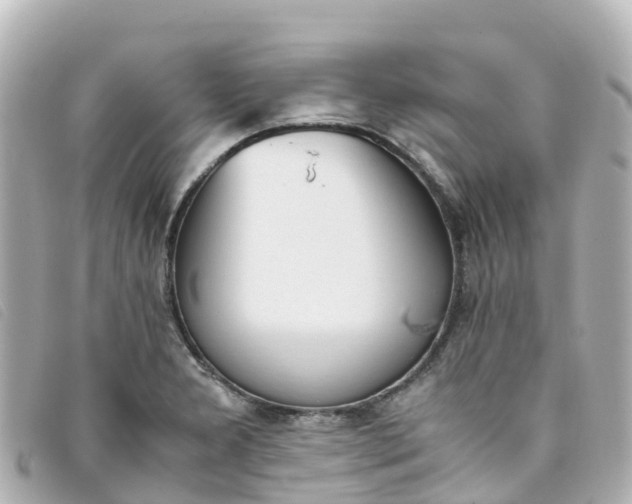 X0000093391277200710251232