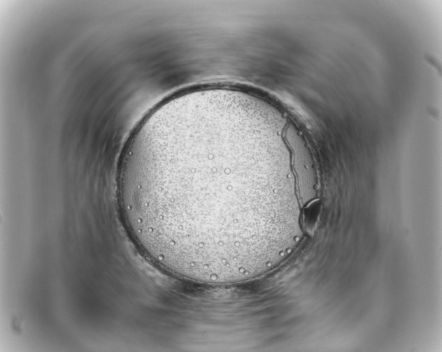 X0000093391279200710251232