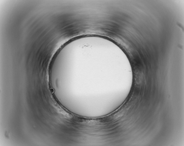 X0000093391280200710251232