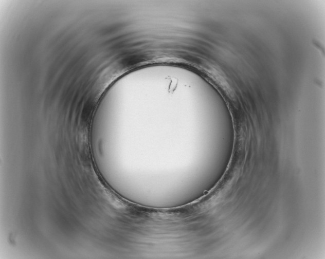 X0000093391281200710251232