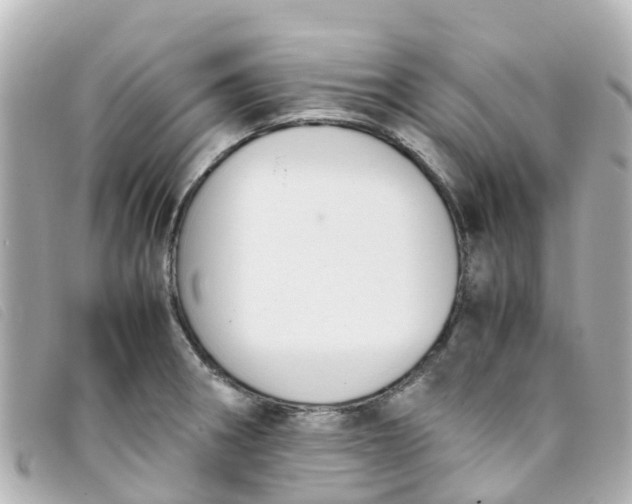 X0000093391282200710251232