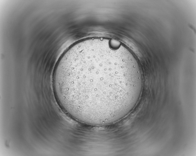 X0000093391283200710251232