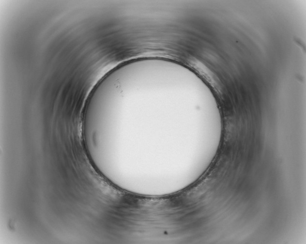 X0000093391284200710251232