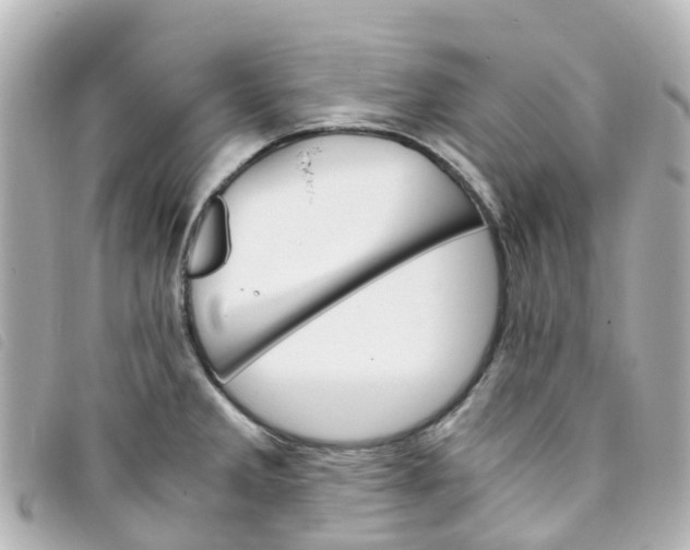 X0000093391285200710251232