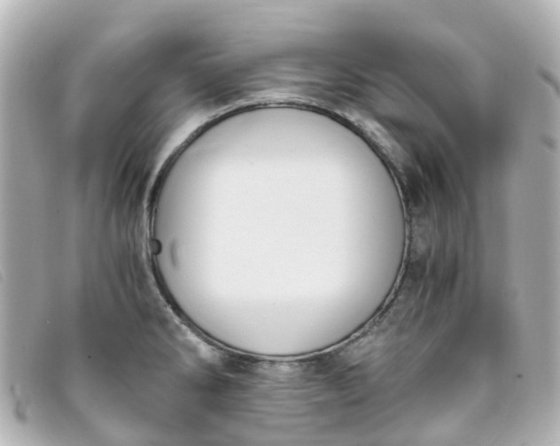 X0000093391286200710251232