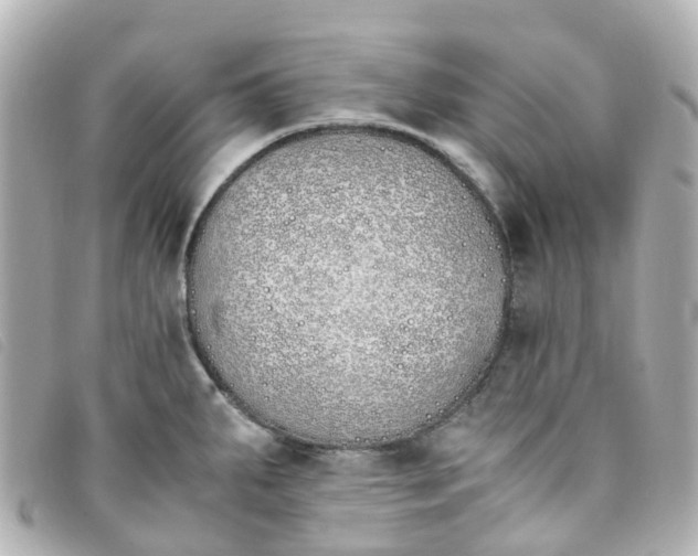 X0000093391287200710251232