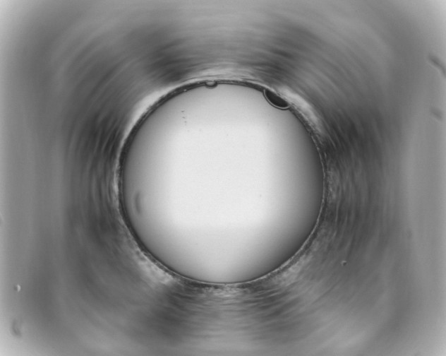 X0000093391288200710251232