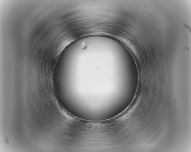 X0000093391289200710251232