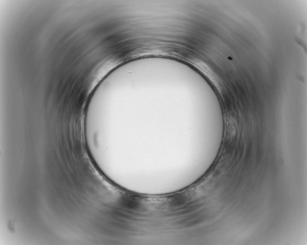 X0000093391290200710251232