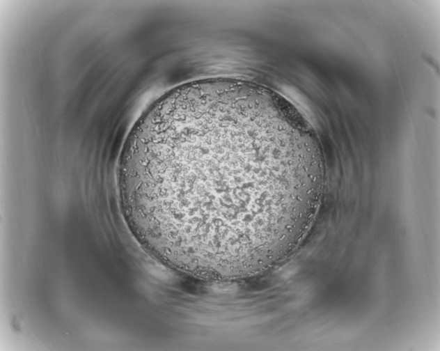 X0000093391291200710251232