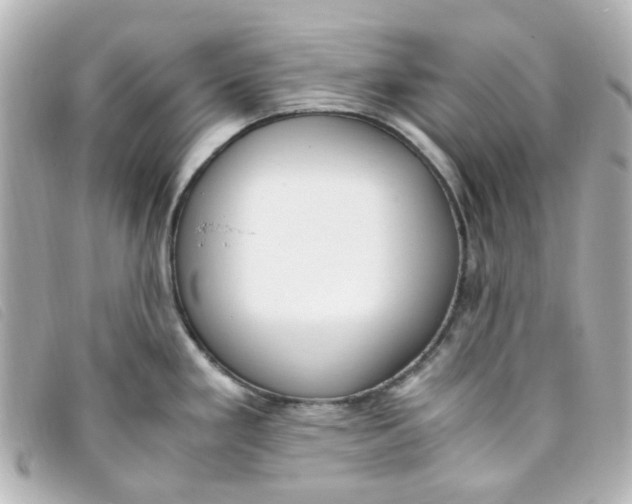 X0000093391293200710251232