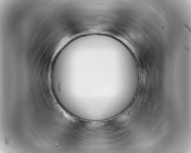 X0000093391294200710251232