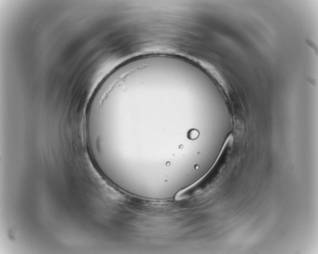 X0000093391295200710251232