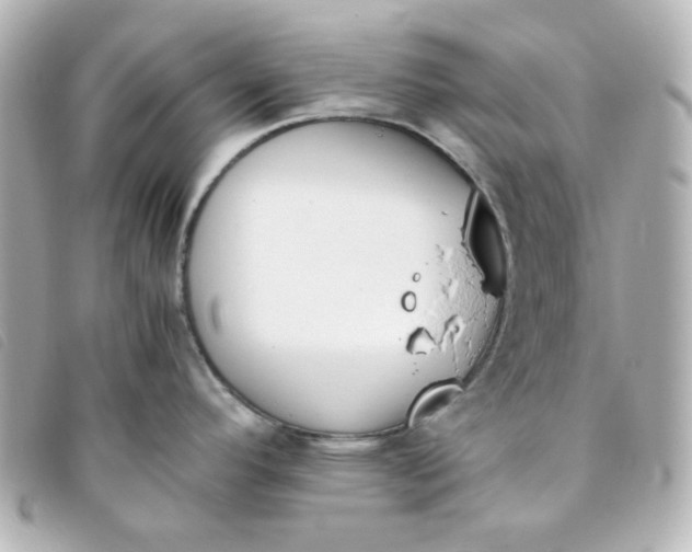 X0000093391296200710251232