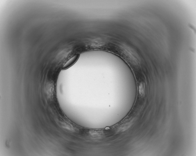 X0000093391299200710251231