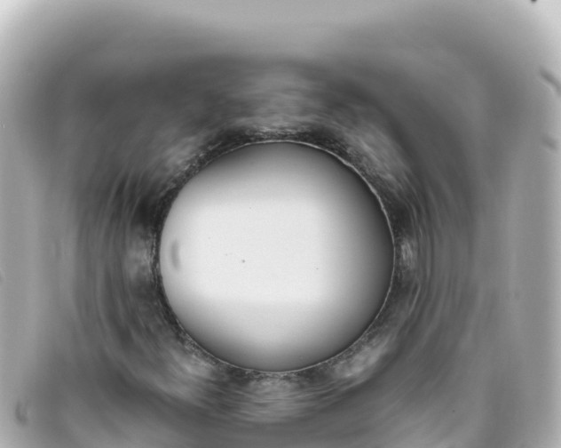 X0000093391300200710251231