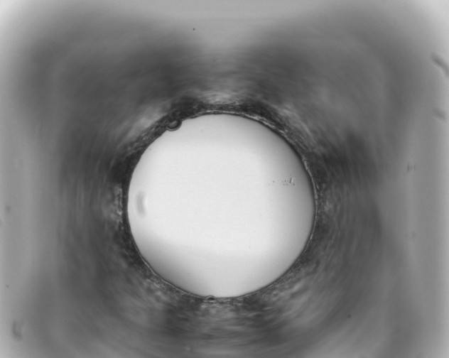 X0000093391301200710251231