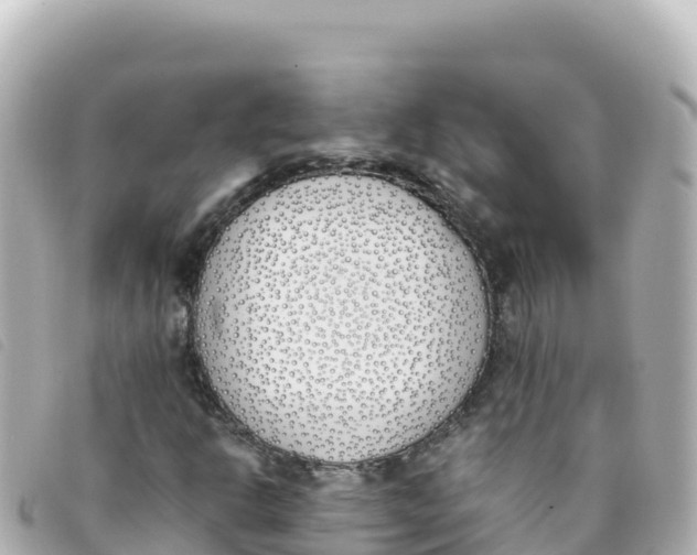 X0000093391302200710251231