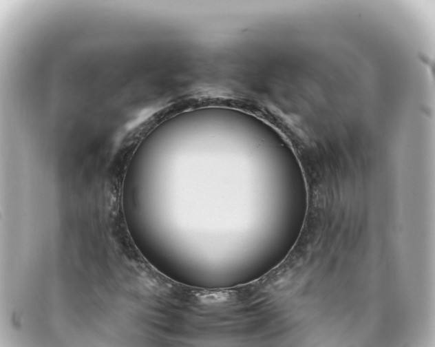 X0000093391303200710251231