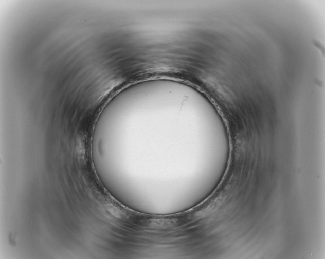 X0000093391305200710251232