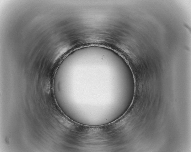 X0000093391306200710251232