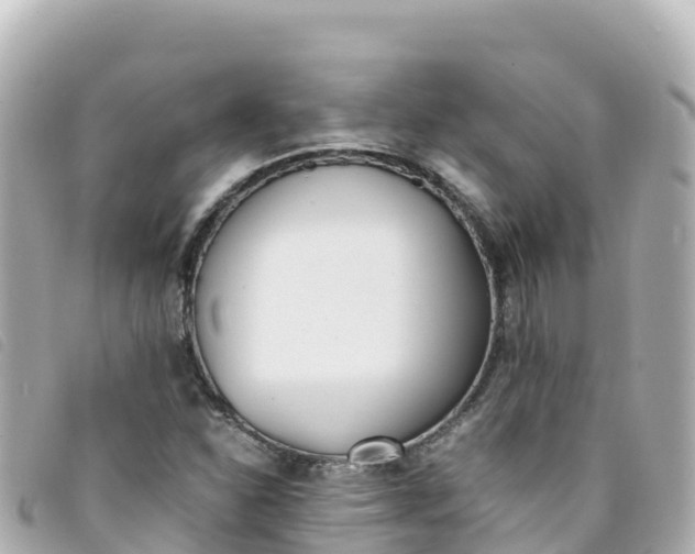 X0000093391310200710251232