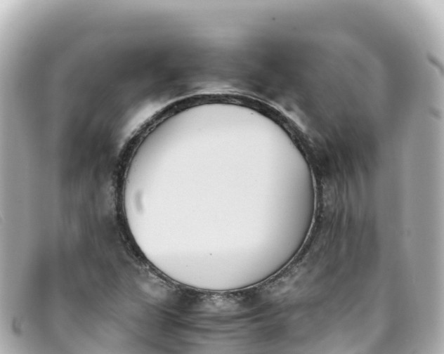 X0000093391311200710251232