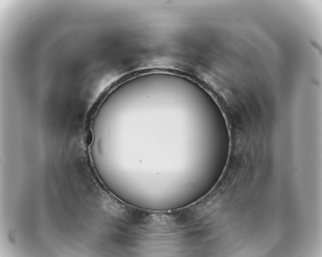 X0000093391312200710251232