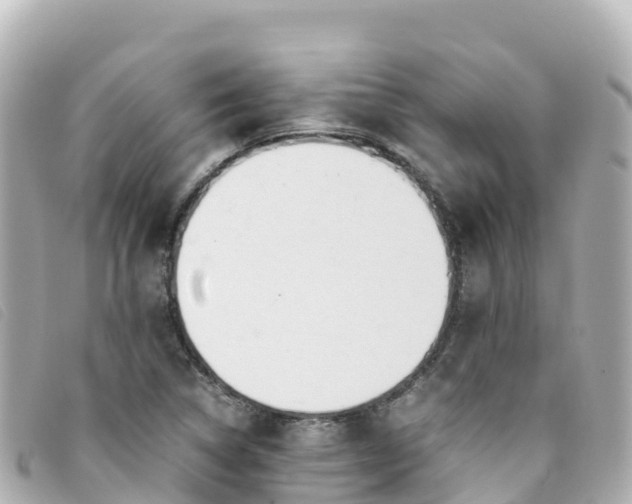 X0000093391314200710251232