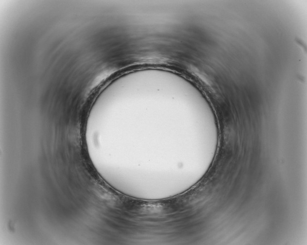 X0000093391315200710251232