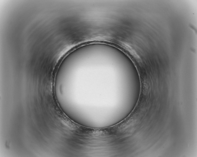 X0000093391316200710251232