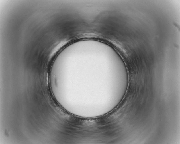 X0000093391317200710251232