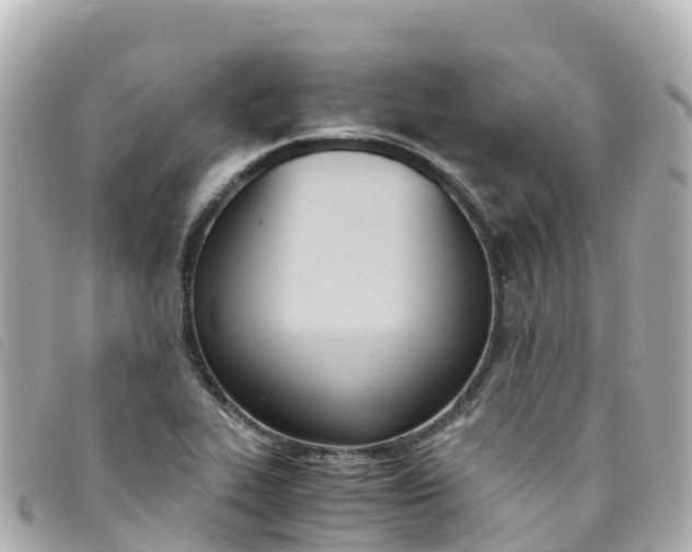 X0000093391319200710251232