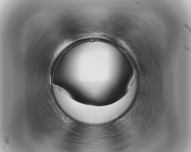 X0000093391320200710251232