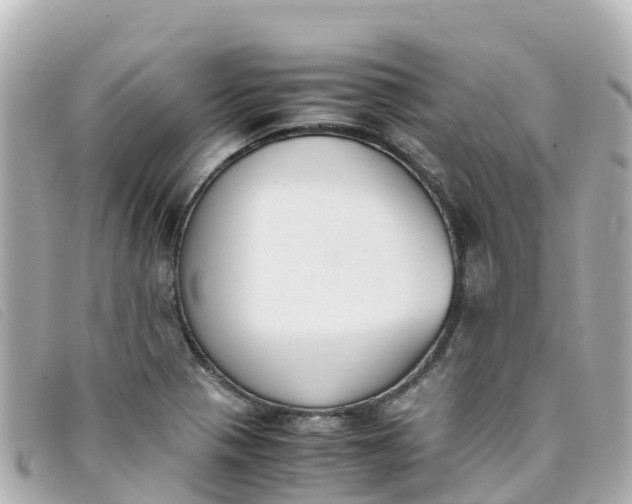 X0000093391321200710251232