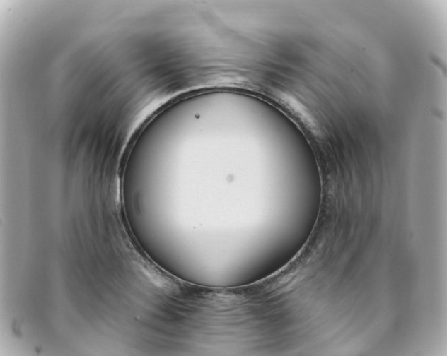 X0000093391324200710251232