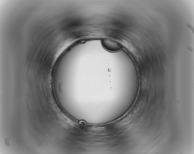 X0000093391325200710251232