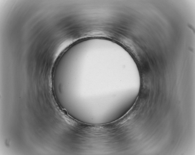 X0000093391328200710251232