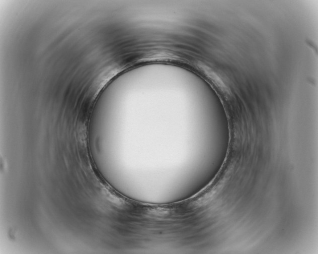 X0000093391329200710251232