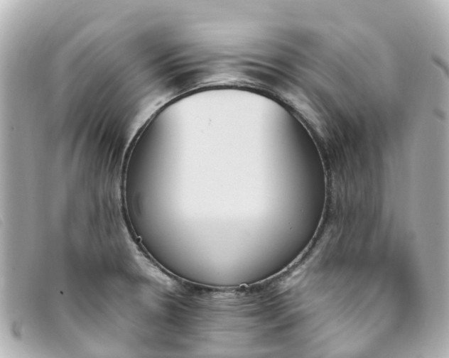 X0000093391330200710251232