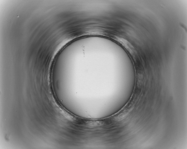 X0000093391331200710251232