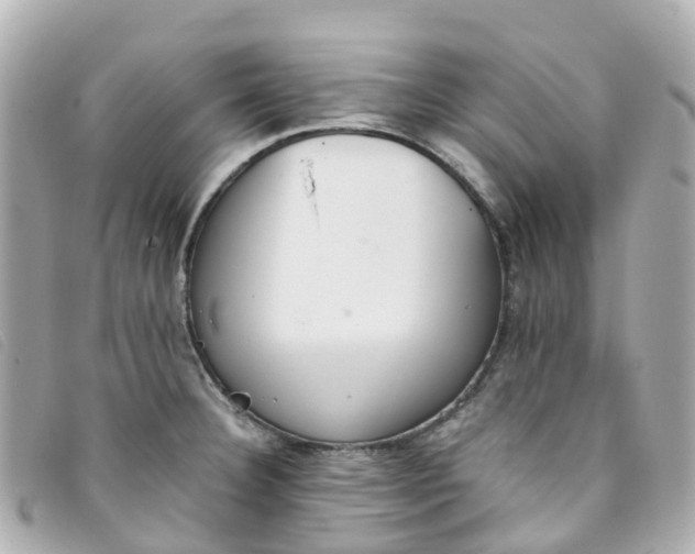 X0000093391332200710251232