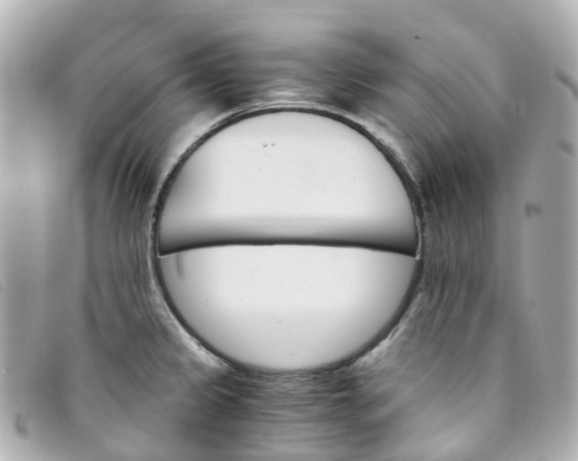 X0000093391333200710251232