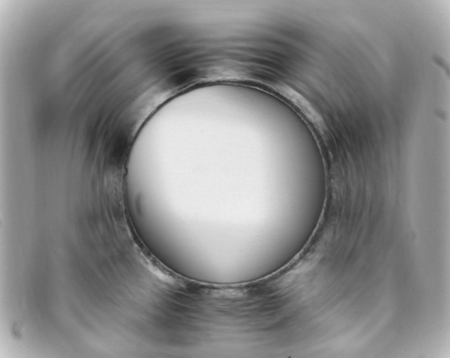 X0000093391337200710251232