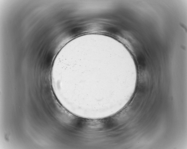 X0000093391338200710251232